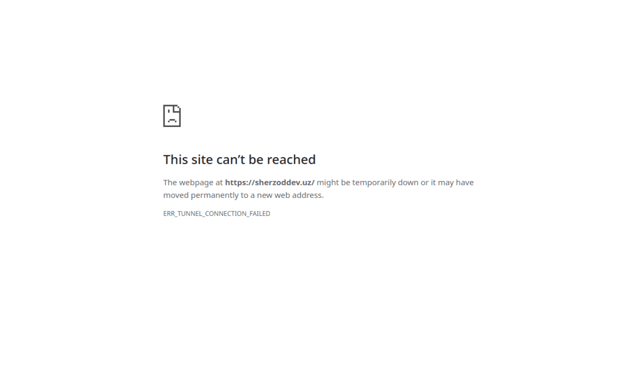 Sherzoddev Portfolio